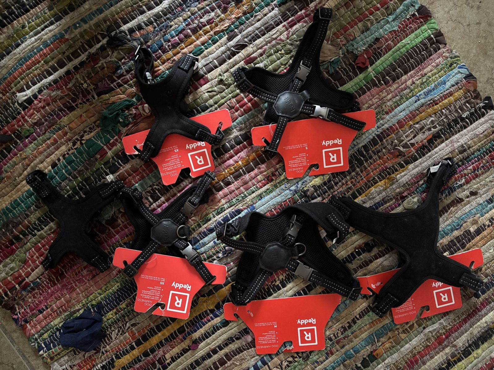 Reddy Padded Dog Harness attached to Original Tags and Kong Collars
