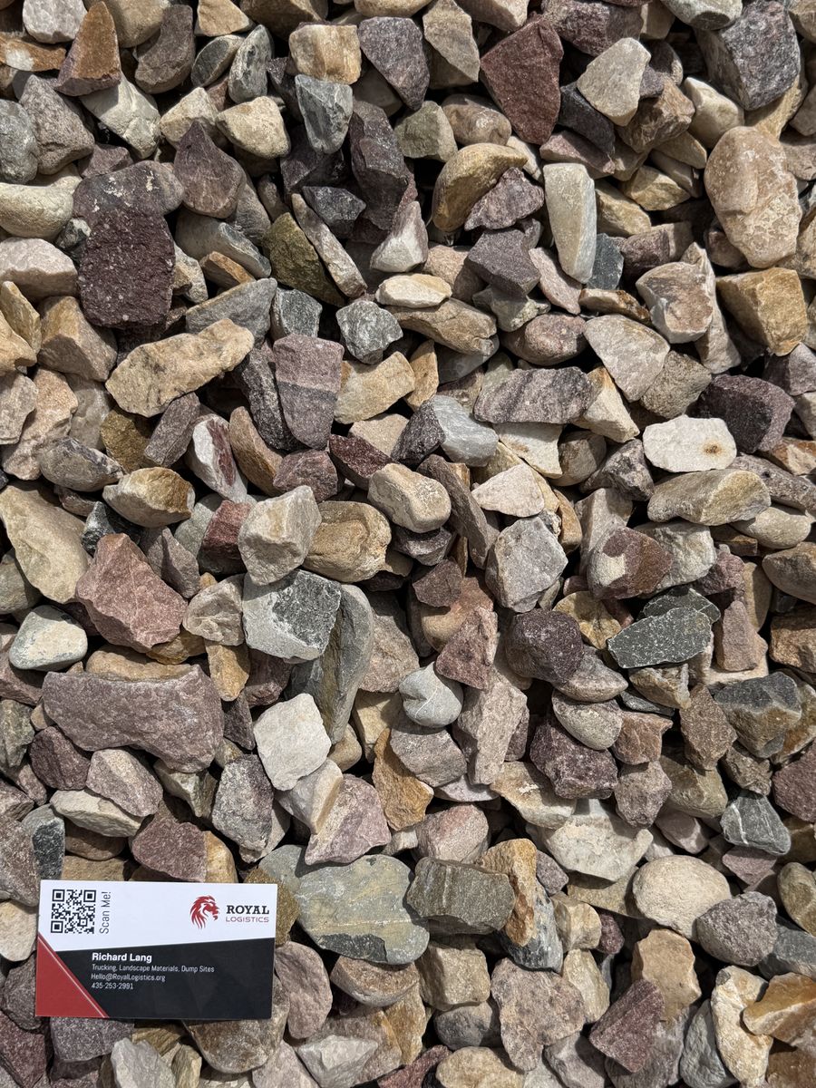 Main image 11