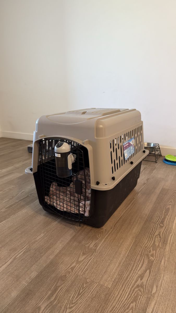 Pet Kennel M