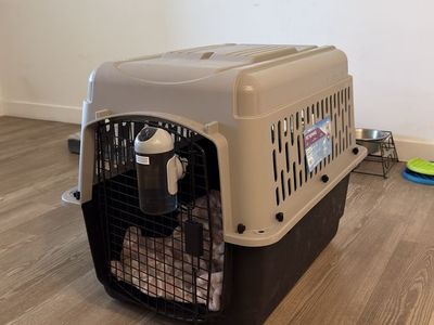 Pet Kennel M