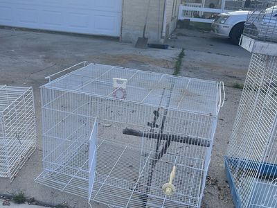 Cockatiel And Parakeet Cages