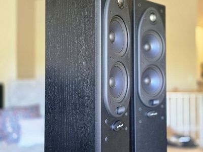 Polk Audio RT800i Floor-Standing Speakers (Pair) - Excellent Condition, Black Wood Finish