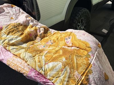 Twin size princess bedding set