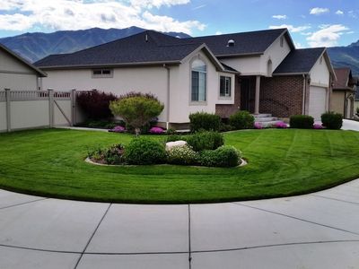 Professional lawn & yard care, at affordable prices!