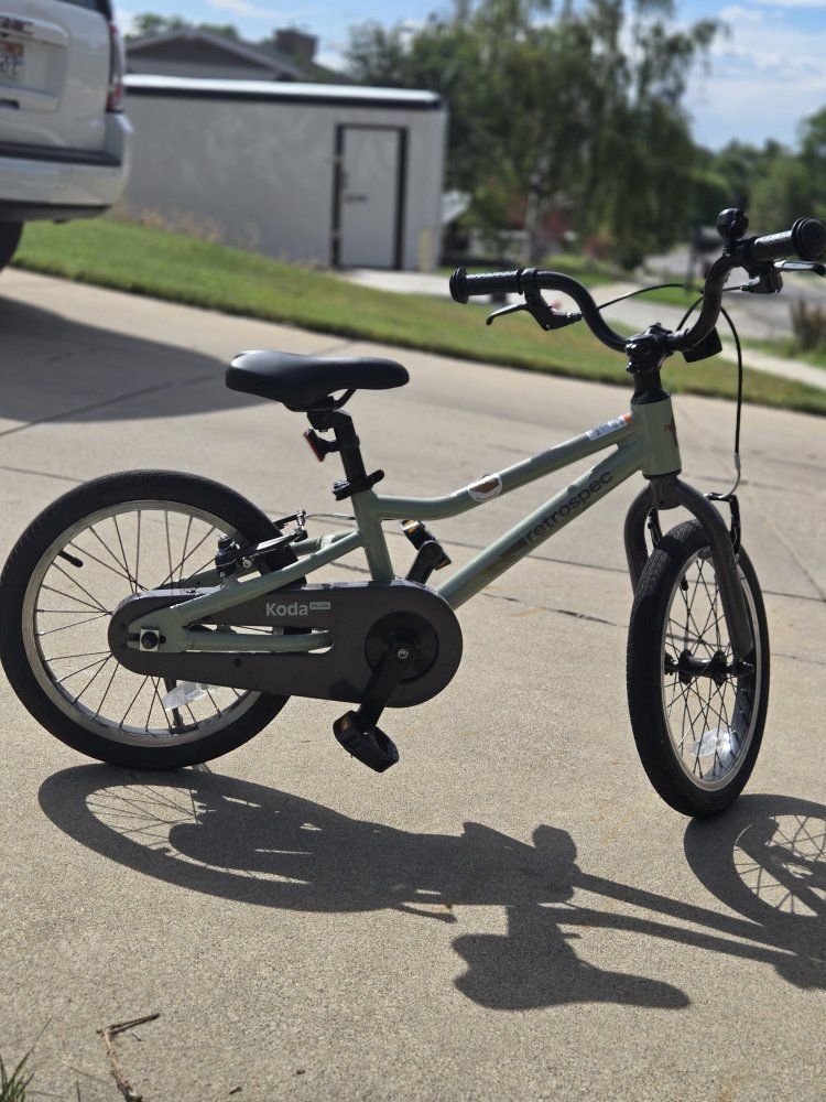Retrospec Koda Plus Kids' Bike, Light Green, 16-inch wheels, Single Speed, Chain Guard