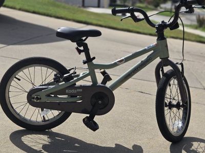 Retrospec Koda Plus Kids' Bike, Light Green, 16-inch wheels, Single Speed, Chain Guard
