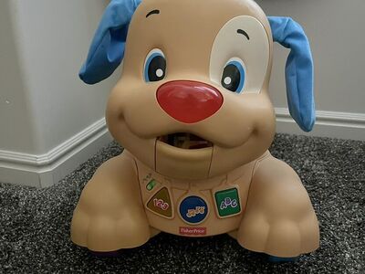 Stride-to-Ride Puppy Walker