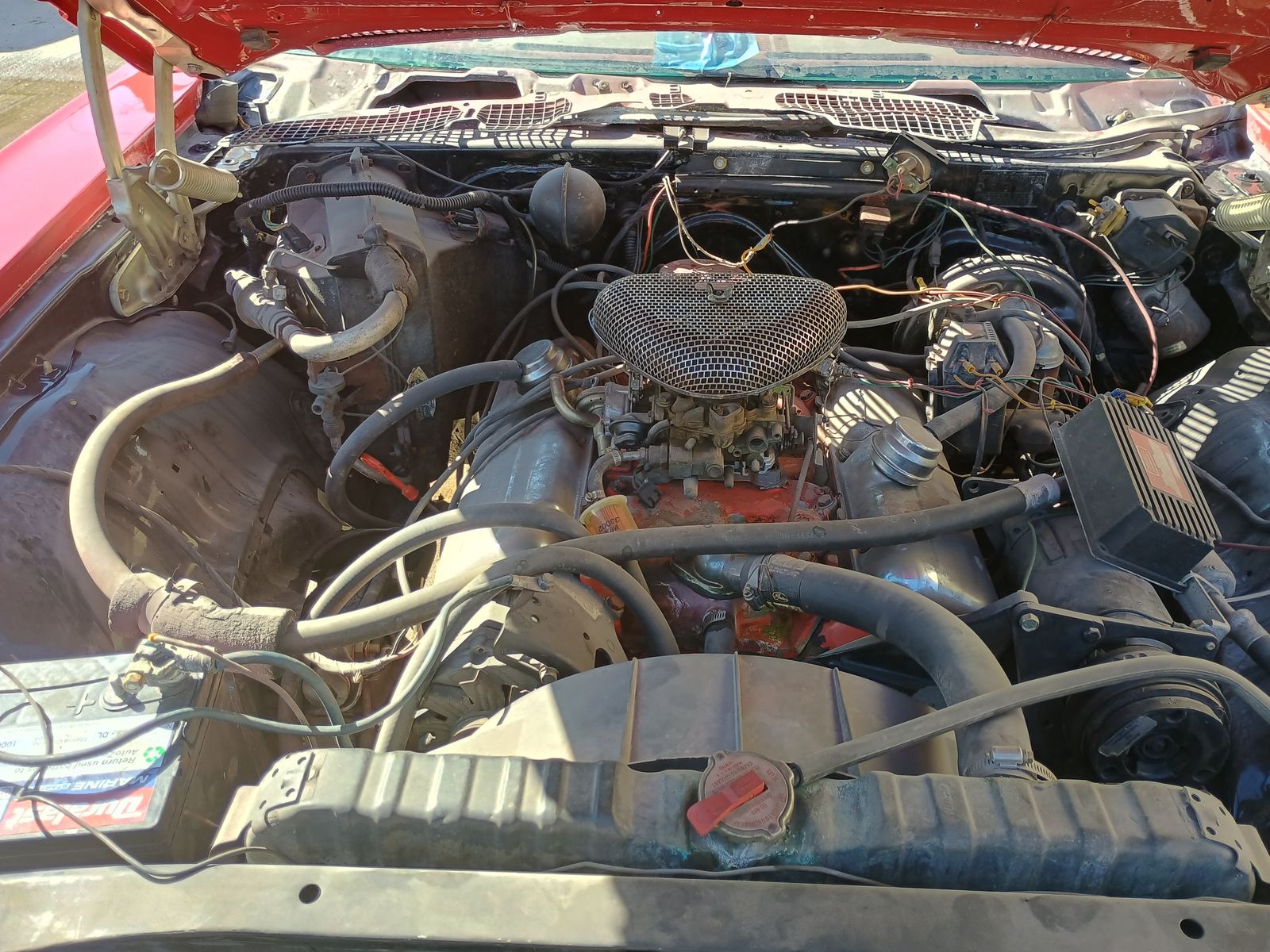 Main image 6