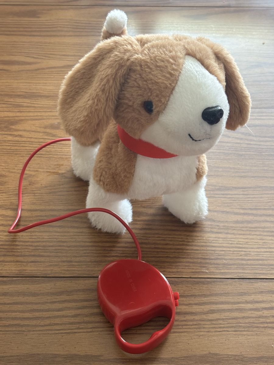 Remote control leash puppy