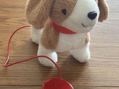 Remote control leash puppy