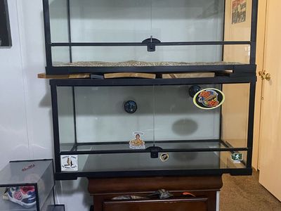 Reptile cage for sale