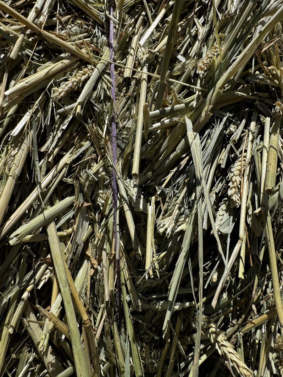 Main image 3