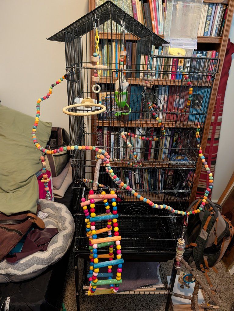 Large Black Bird Cage with Stand and Assorted Toys - Used