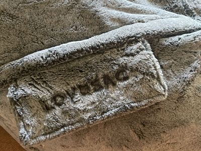 Lovesac Giant Beanbag Chair in Gray Plush Fur Cover for 2-3 people.