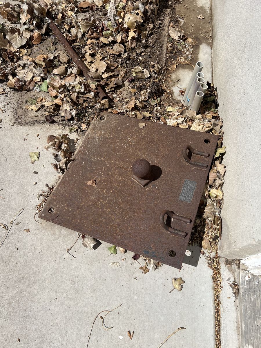 Hitch plate