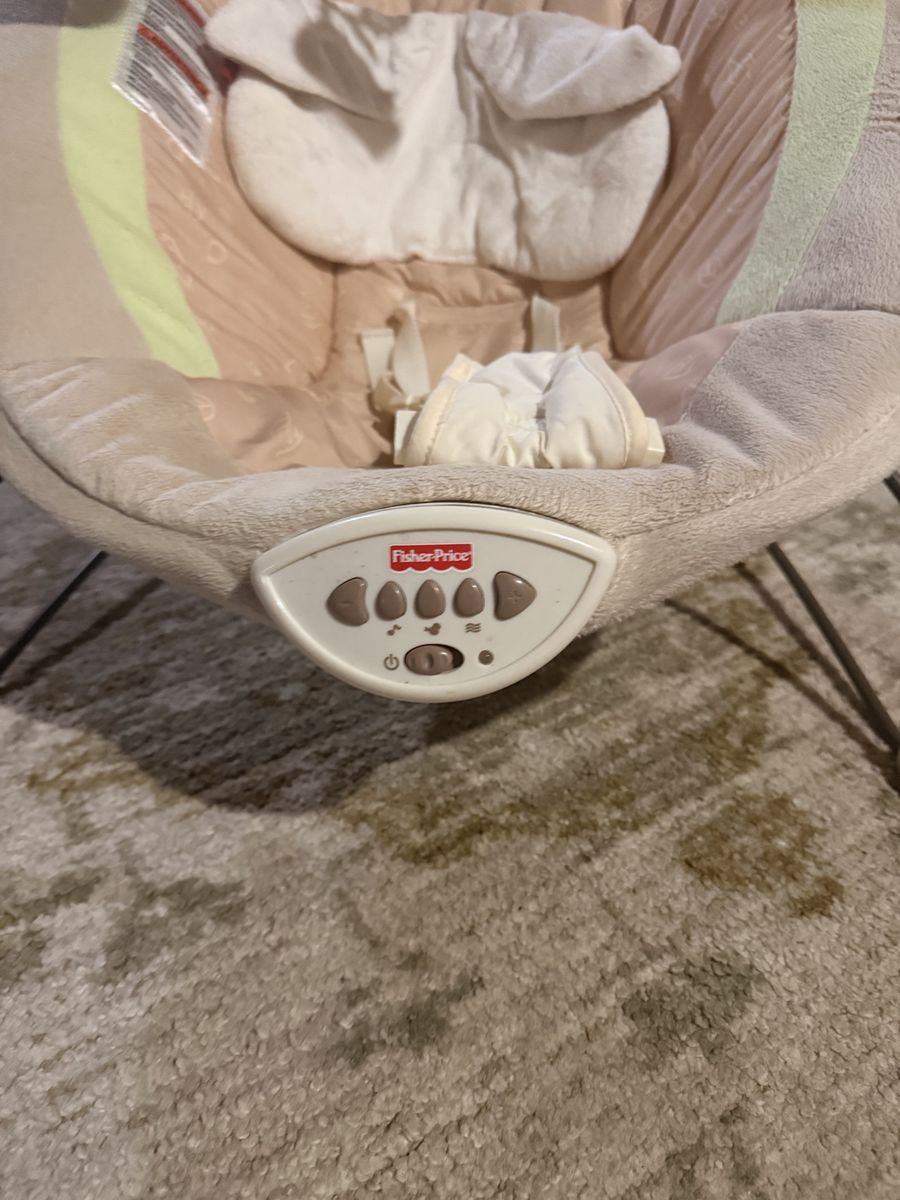 Fisher-Price Infant-to-Toddler Rocker Baby Bouncer & Chair Neutral
