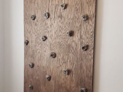 Indoor Rock Climbing Wall & Ninja Warrior Training Setup - Climbing Holds & Accessories Included
