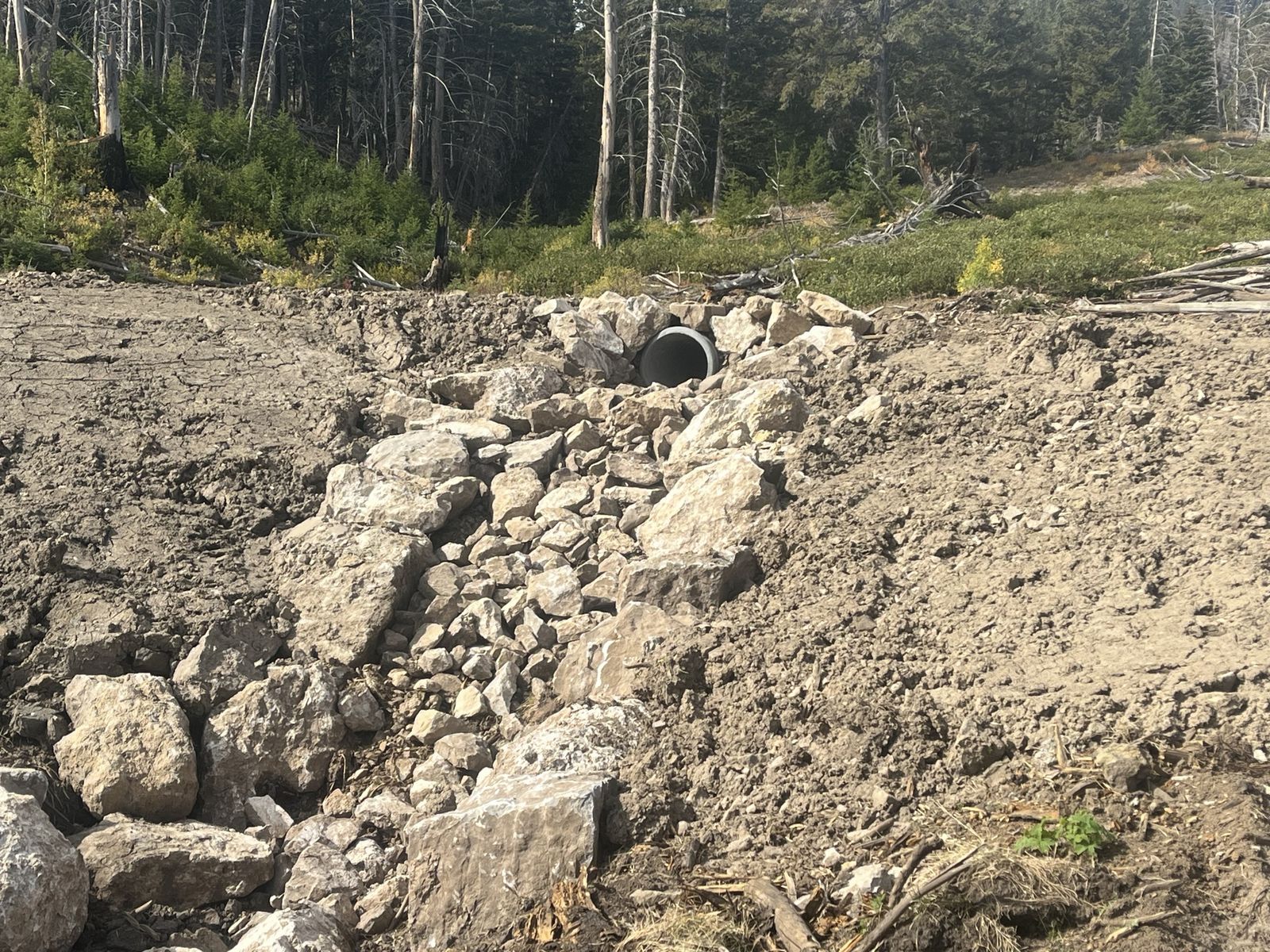 Main image 14