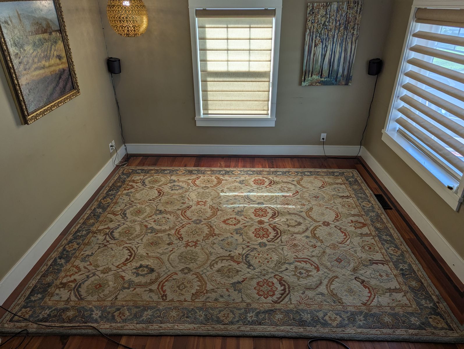 living room rug