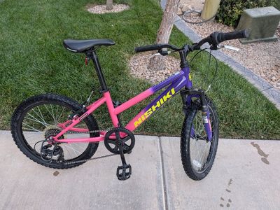 Nishiki 20 inch Mountain Bike