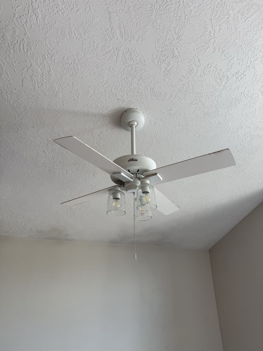 Main image 2