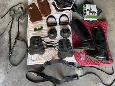 FREE to horse loving home: Riding equipment
