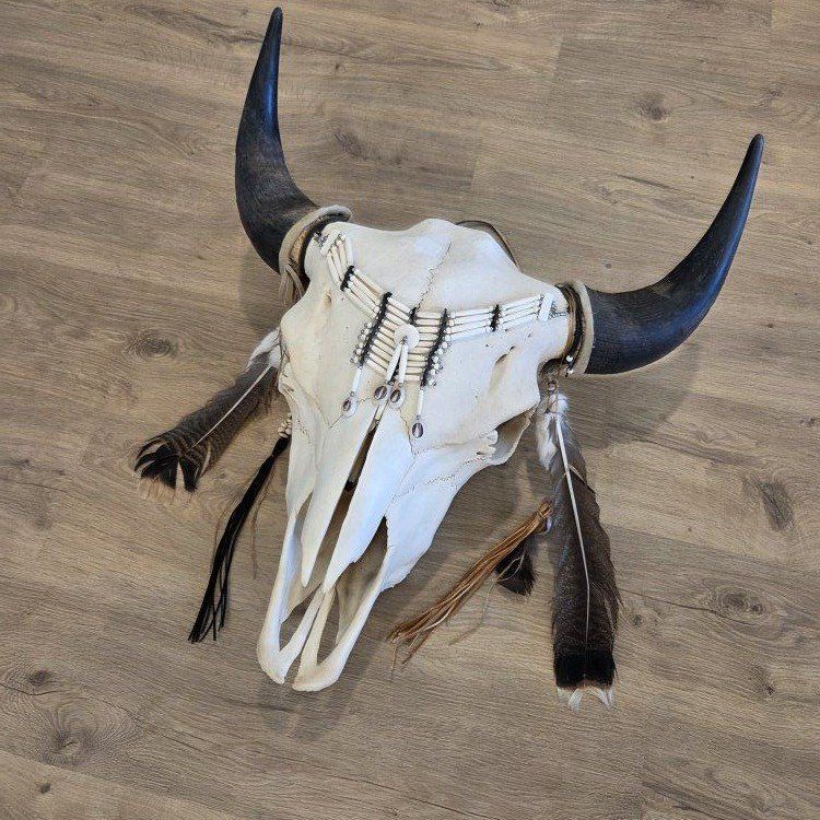 Tribal Bison Head