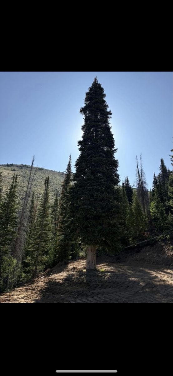 Main image 6