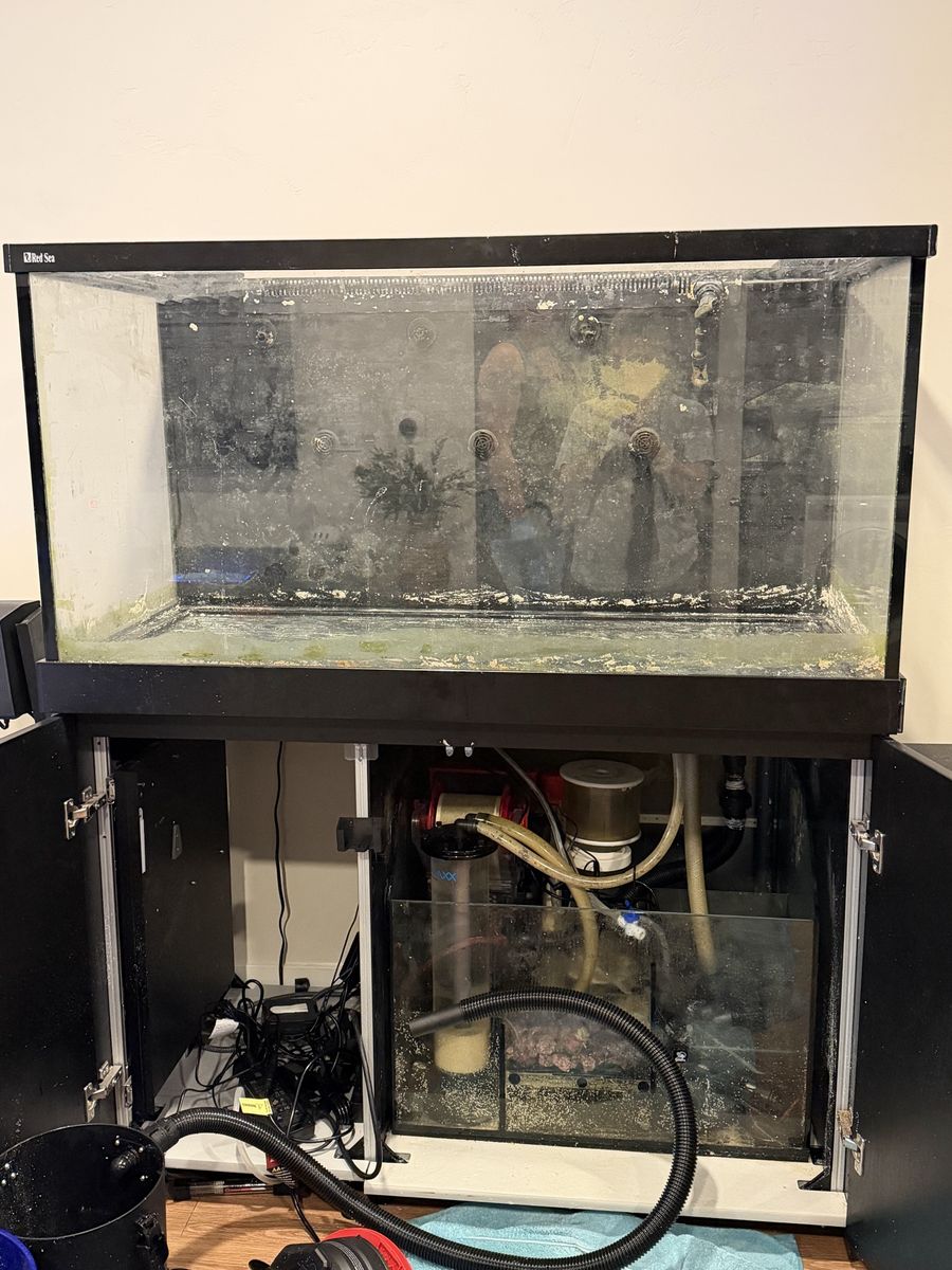 Main image 4