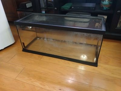 20 gallon long encloser