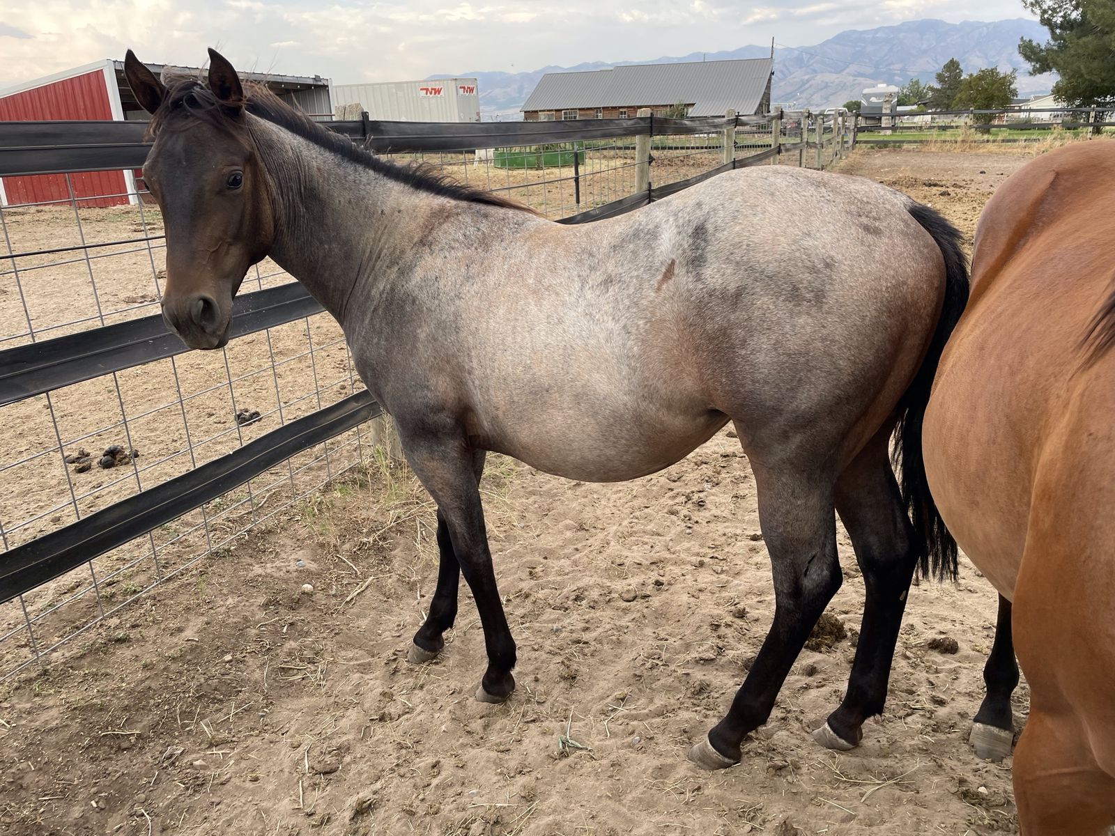 Main image 14