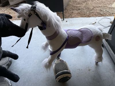 Power pony rideable pony