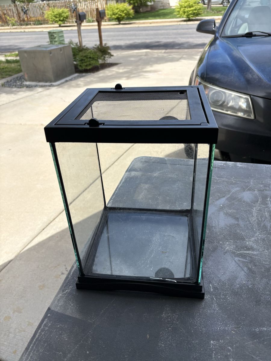 Baby gecko terrarium