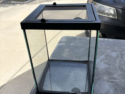 Baby gecko terrarium