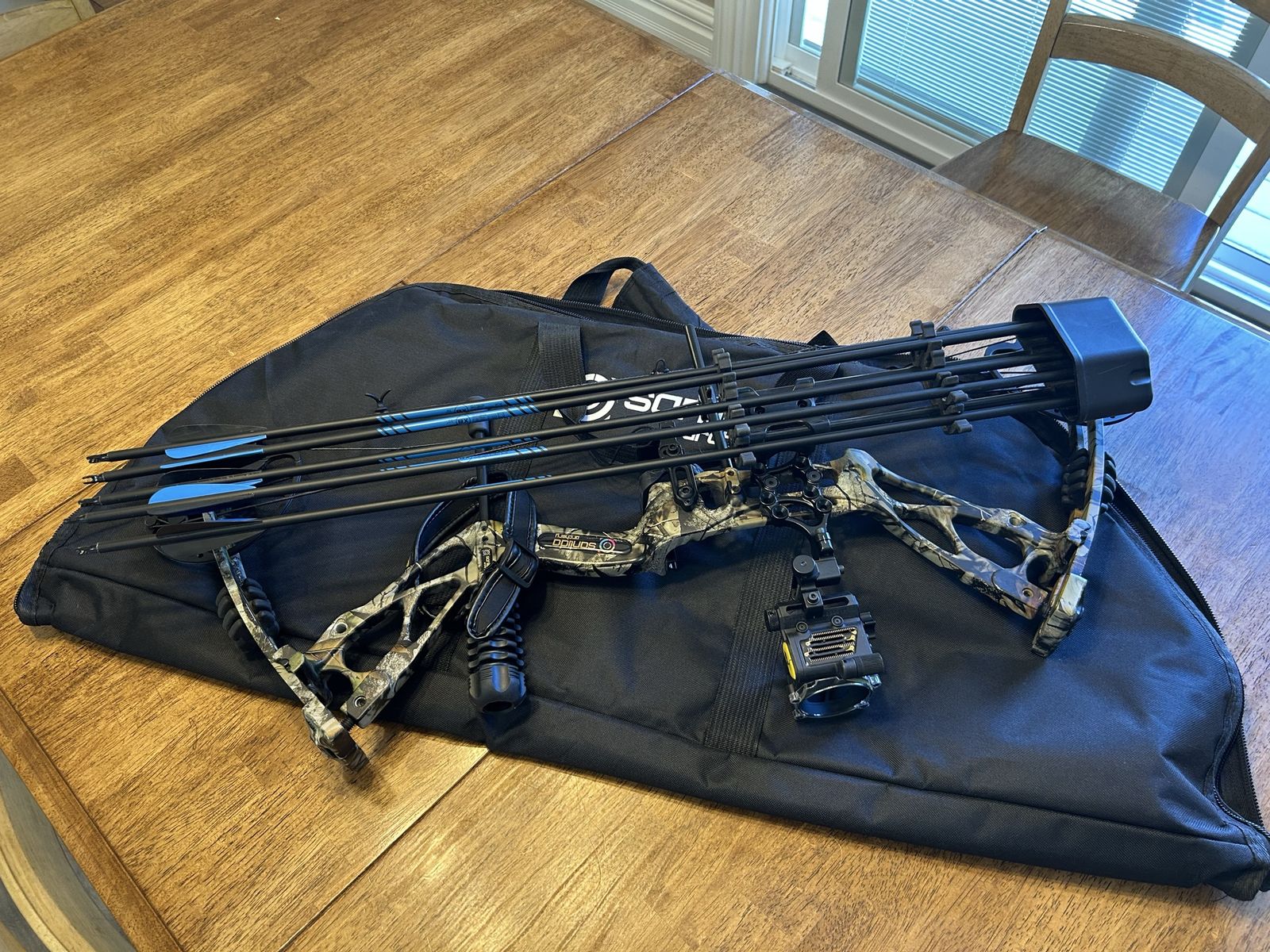 Upgraded Beginner or Youth Compound Bow with Arrows
