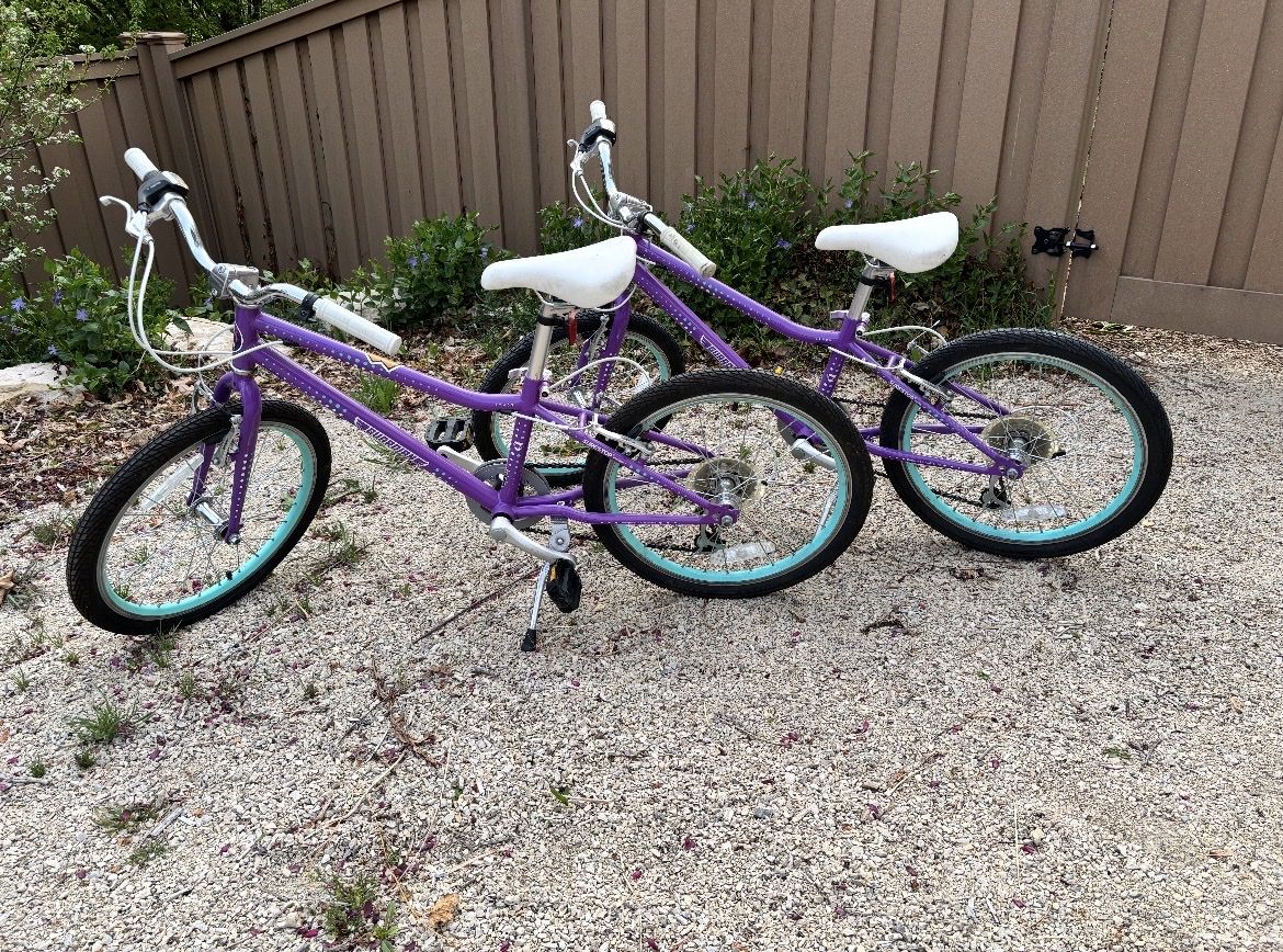 Guardian Bike 20 inch large bike