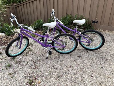 Guardian Bike 20 inch large bike