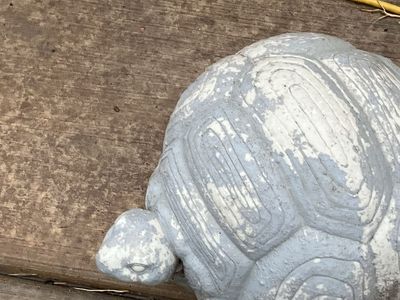 Decorative Concrete Turtle Garden Statue Yard Ornament