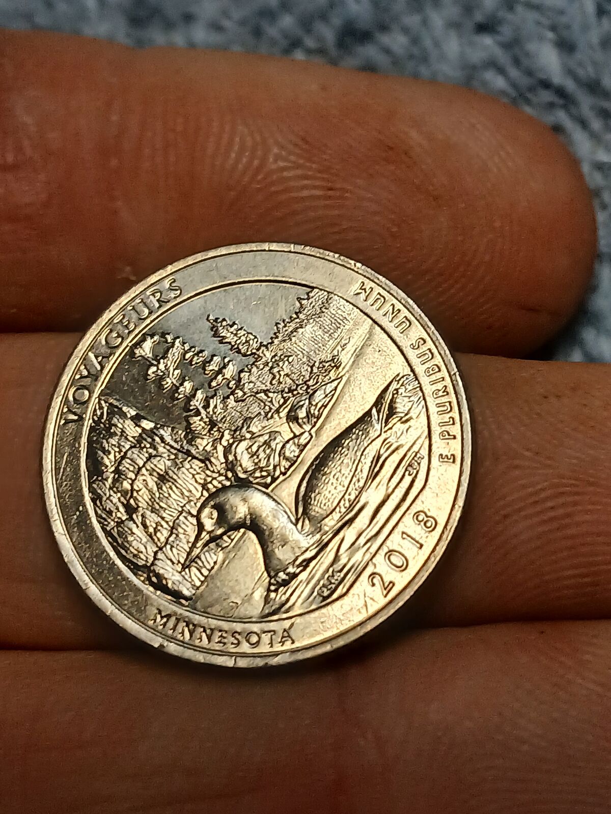 Collectable Quarter  voyagers