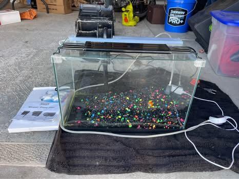 Fish tank with filter and light