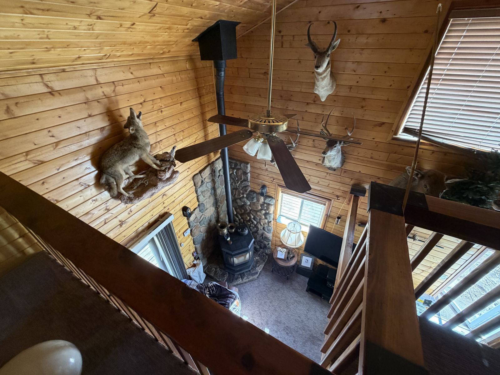 Main image 11