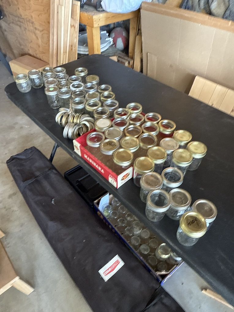 Many, Many  1/2 Pint Canning Jars & Rings