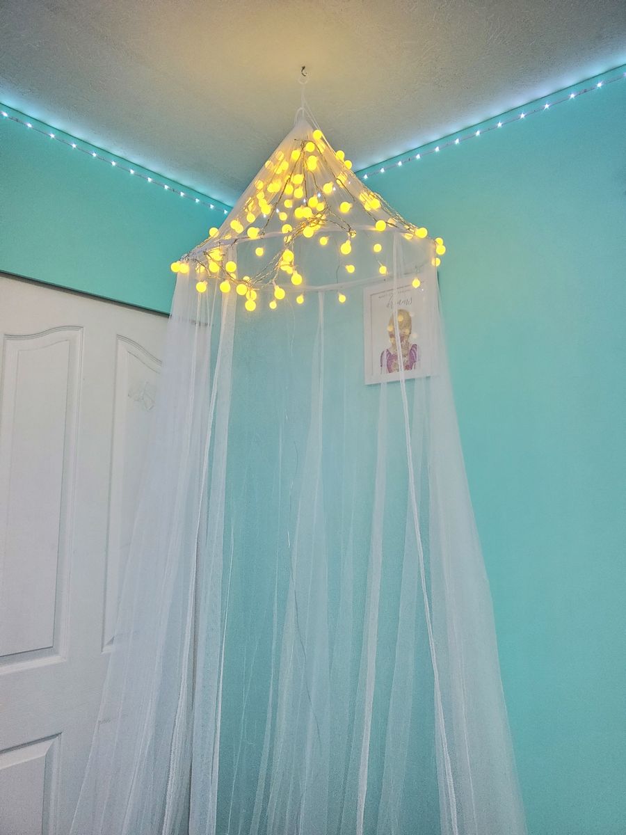 Bed Canopy with Lights