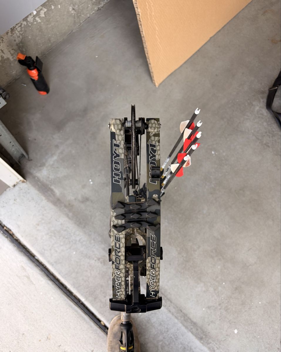 Main image 4