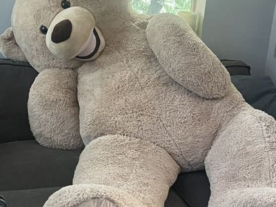 Costco Huge Teddy Bear Giant sIze