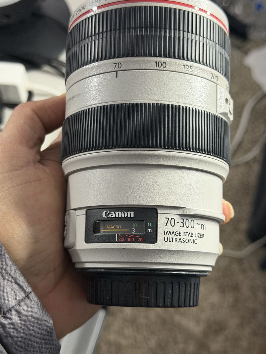 Canon 70-300 L 700$, 85mm 1.2L 620$