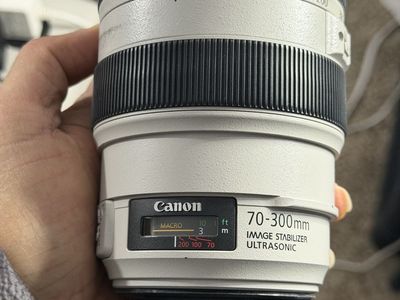 Canon 70-300 L 700$, 85mm 1.2L 620$