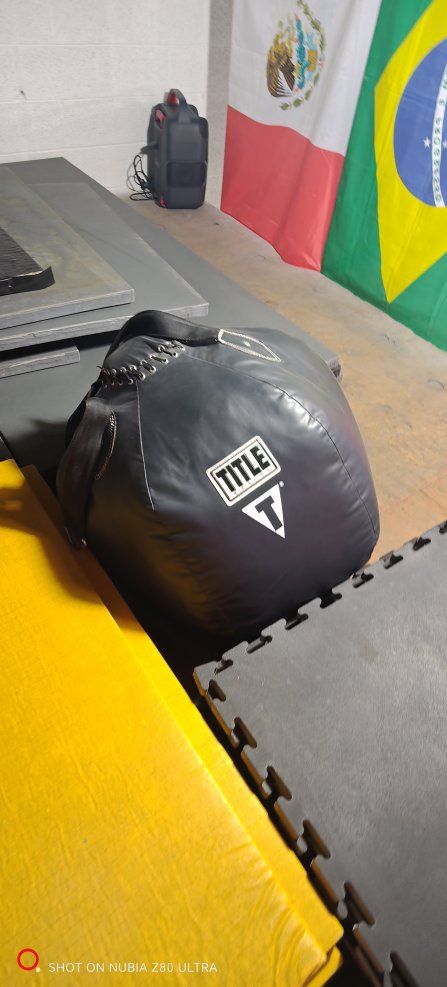 Title Boxing Wrecking Ball Bag