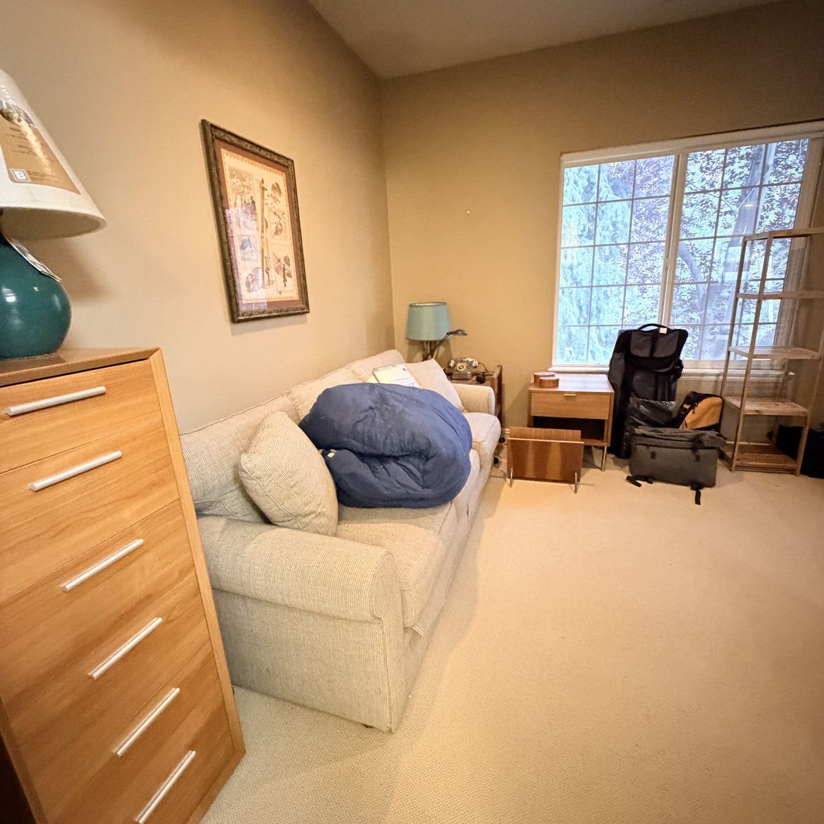 Main image 12