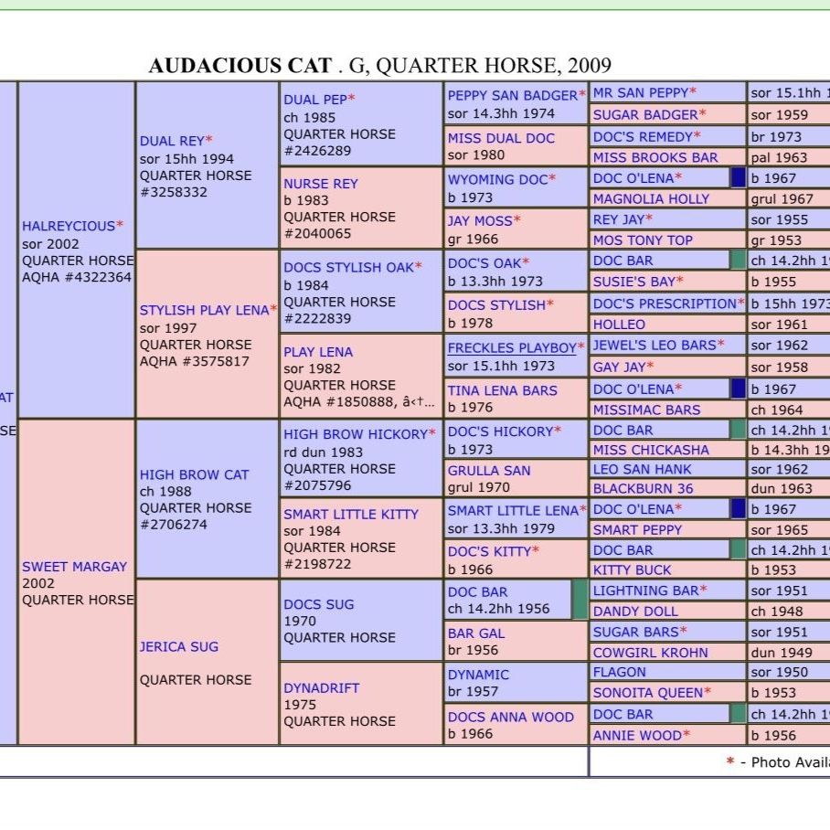 Main image 4